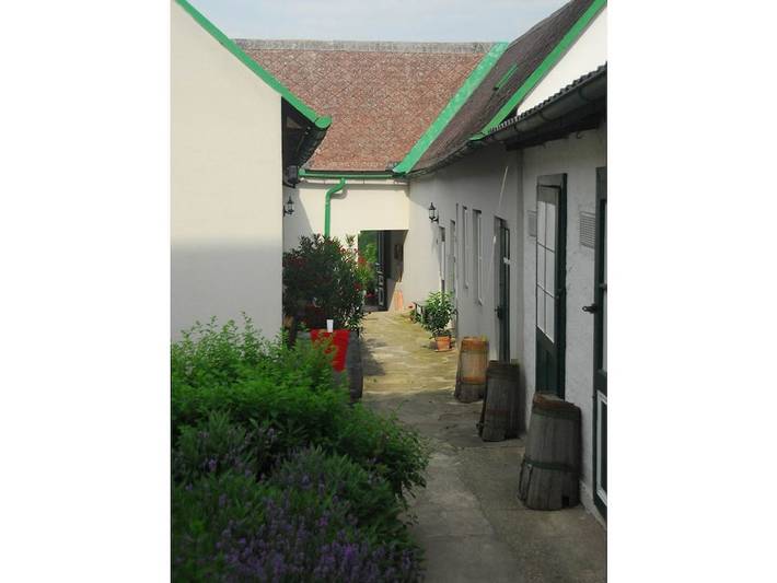 4 Weingut Hauerhof 99 in Klosterneuburg, District de Wien-Umgebung
