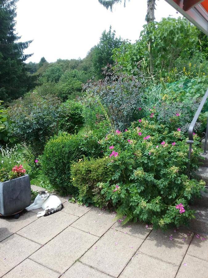 Vakantieappartement voor 2 personen, met tuin en uitzicht in Monschau