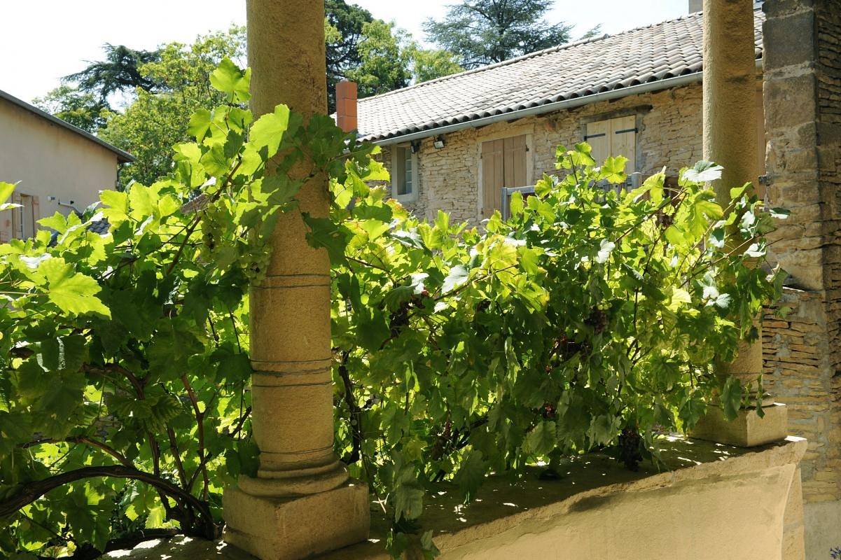 De Pierre et de Vigne in Chaintré, Région de Mâcon