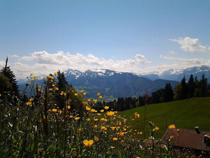 Schedlers Löwenhotel Garni*** - Doppelzimmer Komfort mit Balkon in Bregenzerwald (Vorarlberg), Alberschwende