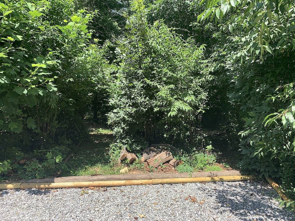 Private 2 Br Home with Yard. 10 min to Downtown! in Blue Ridge Parkway, Buncombe County