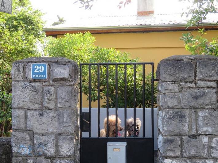 Ferienwohnung für 6 Personen, mit Balkon/Terrasse, mit Haustier in Rijeka - 4