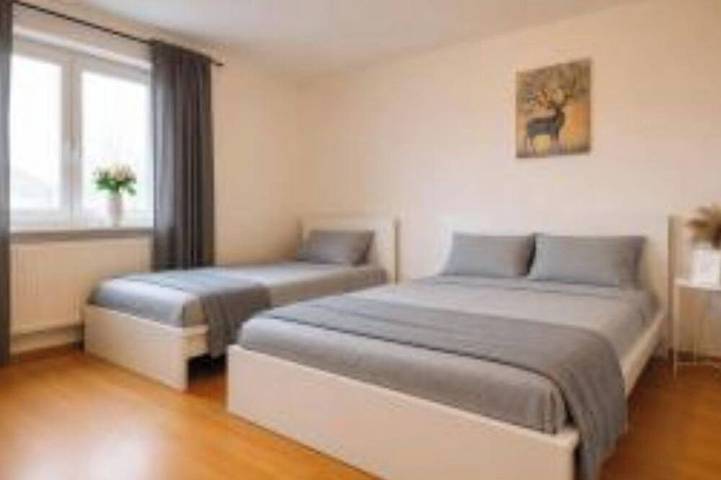 Ganze Wohnung, Frechen Prime 5 in Frechen, Rhein-Erft-Kreis