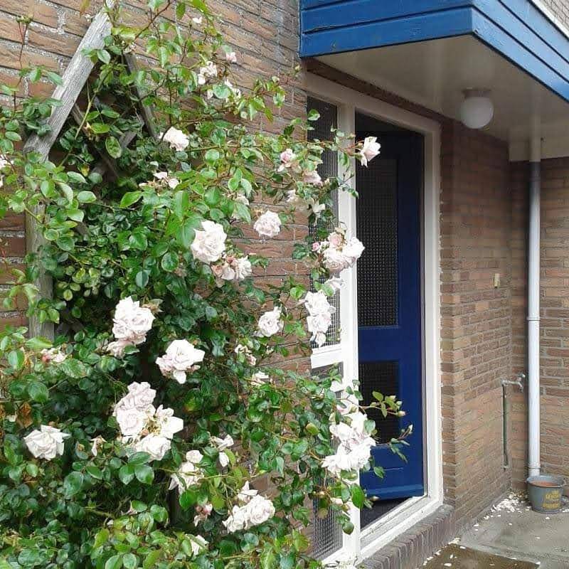 Agterdekoog in De Koog, Westfriesische Inseln