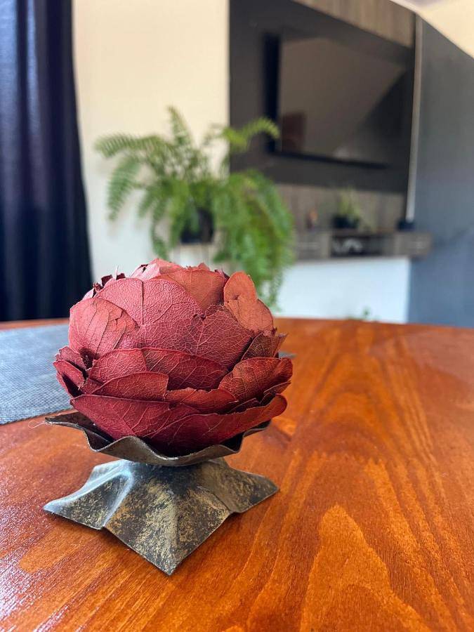 Casas e apartamentos de temporada para 3 pessoas, com vista em Mariana 