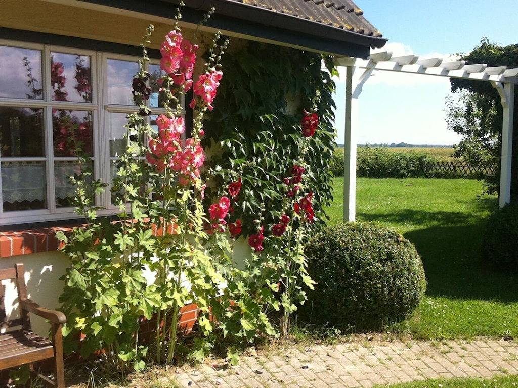 Ferienwohnung in Darß mit 1 Schlafzimmer in Bresewitz, Pruchten
