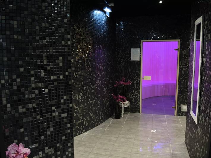 Camping für 4 Personen, mit Sauna und Terrasse sowie Pool, mit Haustier im Loire-Tal - 3