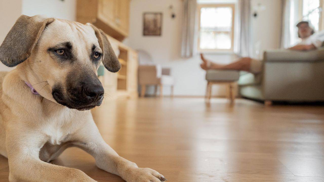 Ferienhaus für 8 Personen (117 m²) in Grundlsee in Grundlsee, Liezen und Umgebung