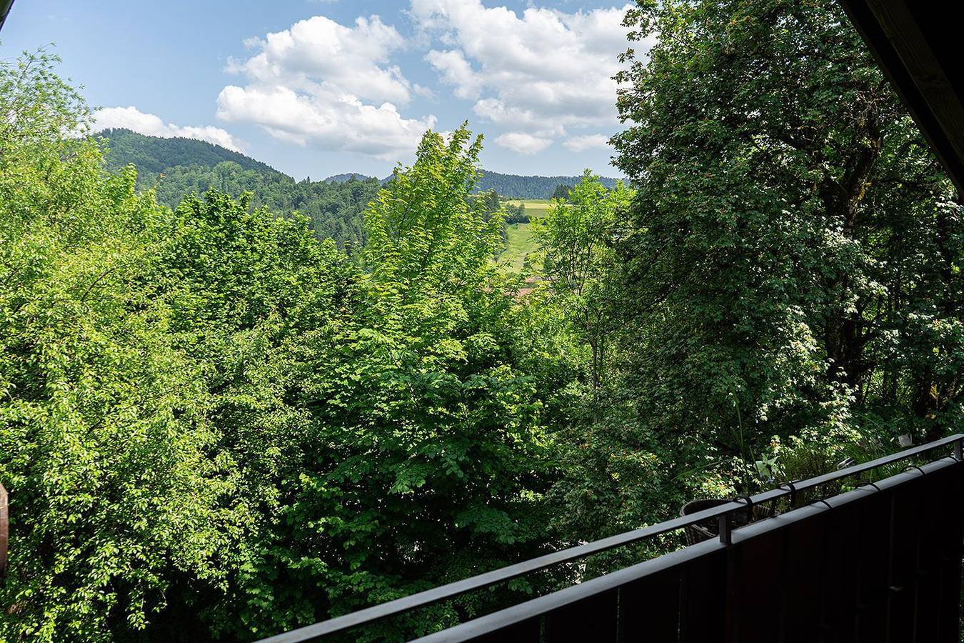 Ganze Wohnung, Fewo Sabine in Oberstaufen, Bayerisch Schwaben