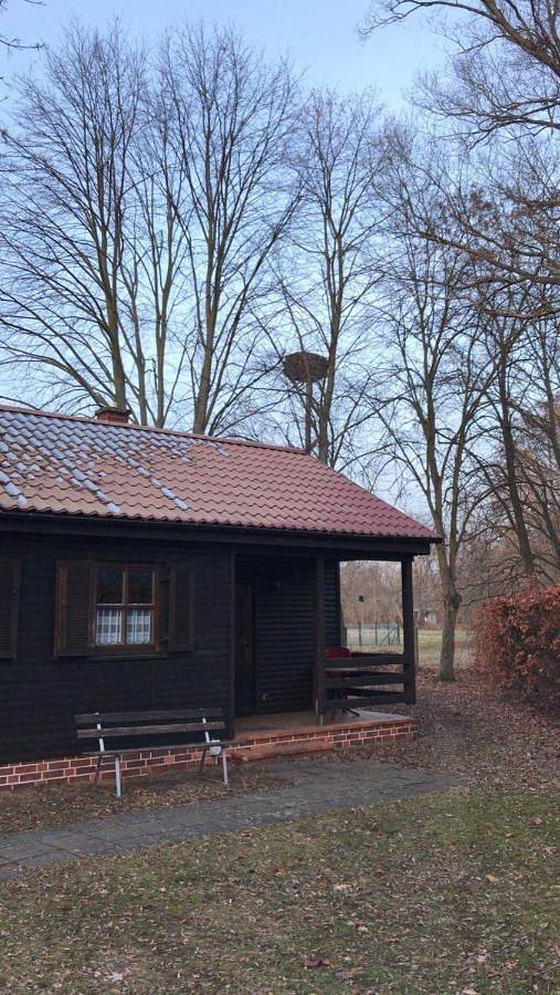 Ferienwohnung für 5 Personen, mit Garten und Ausblick sowie Terrasse in Lübben - 3