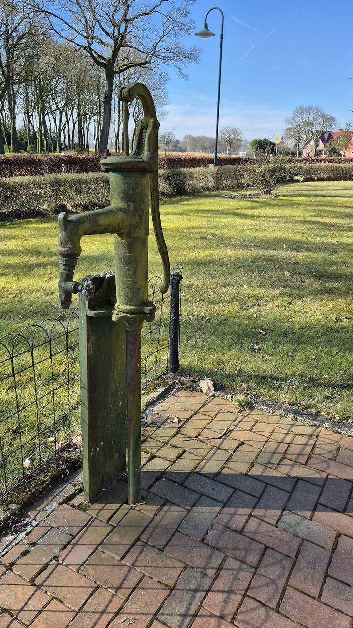 Ferienwohnung für 6 Personen, mit Terrasse und Garten in Schloss Dankern - 4