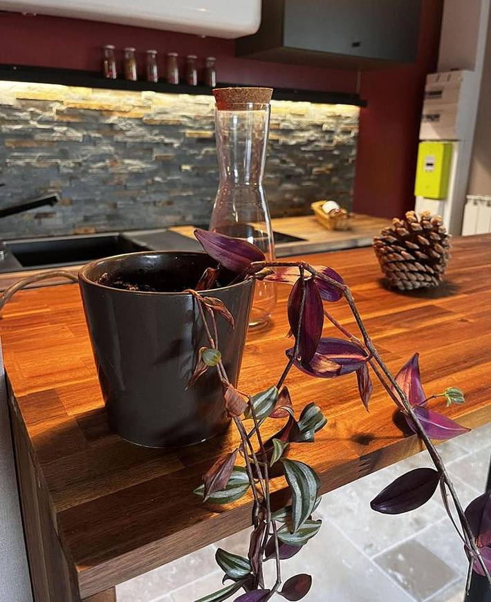 Maison de campagne pour 2 personnes, avec vue ainsi que jardin et terrasse, animaux acceptés à Treize-Vents - 2