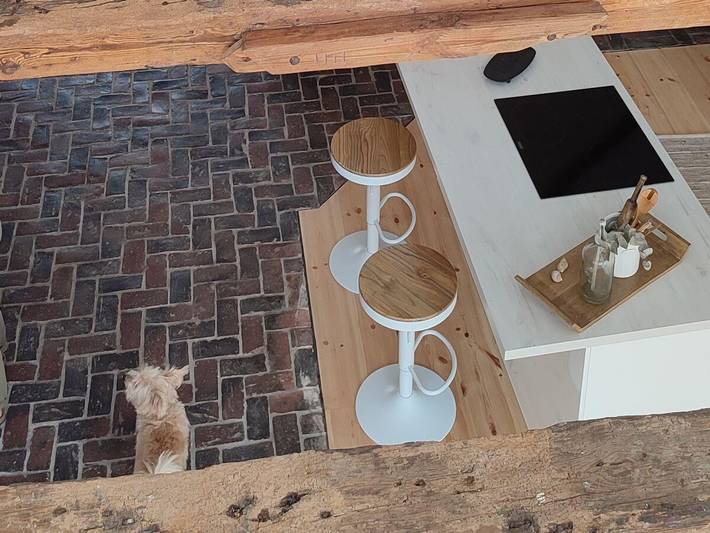 Ferienhaus für 3 Personen, mit Terrasse, mit Haustier auf Eiderstedt - 4