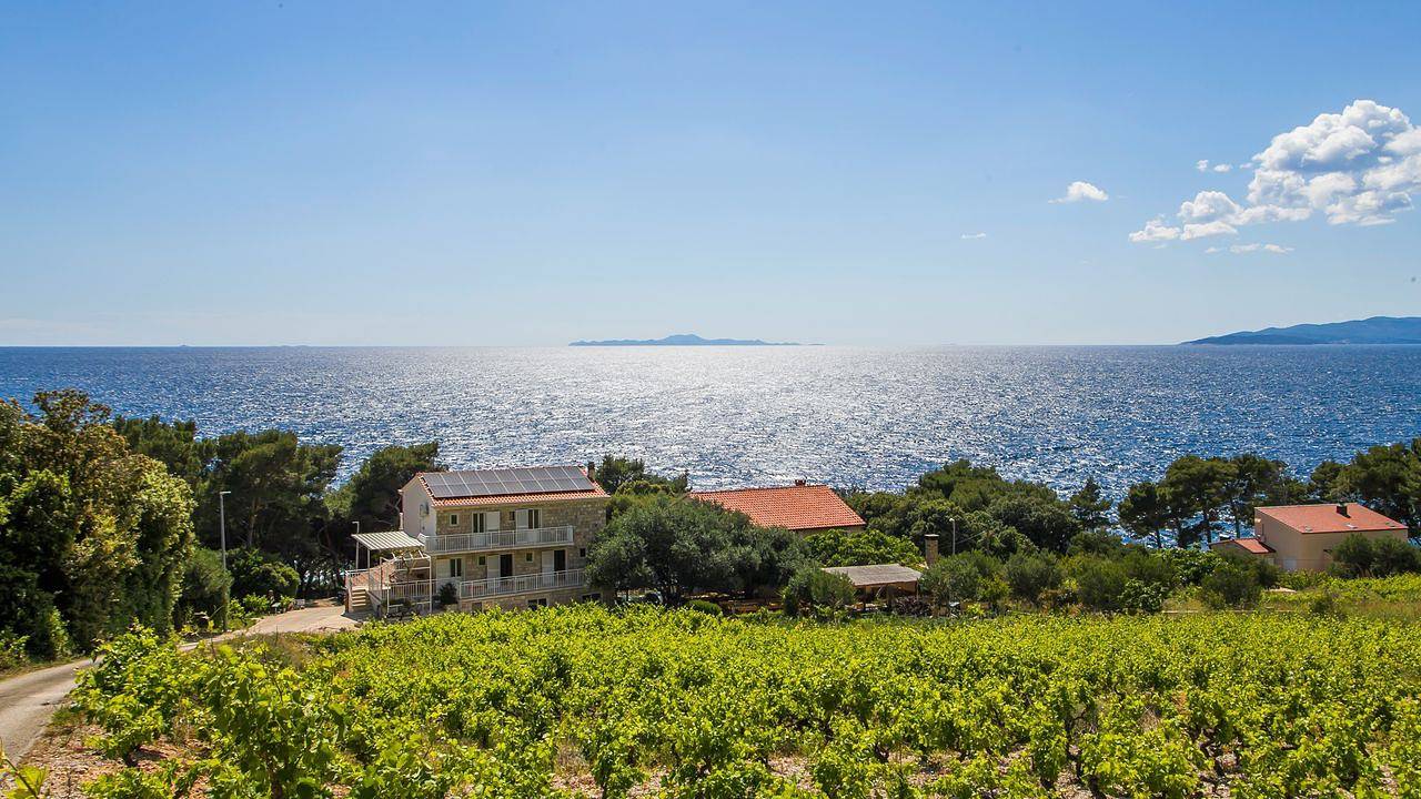 Ganze Ferienwohnung, Ferienwohnung für 3 Personen (29 m²) in Borak in Potomje, Dubrovnik-Neretva