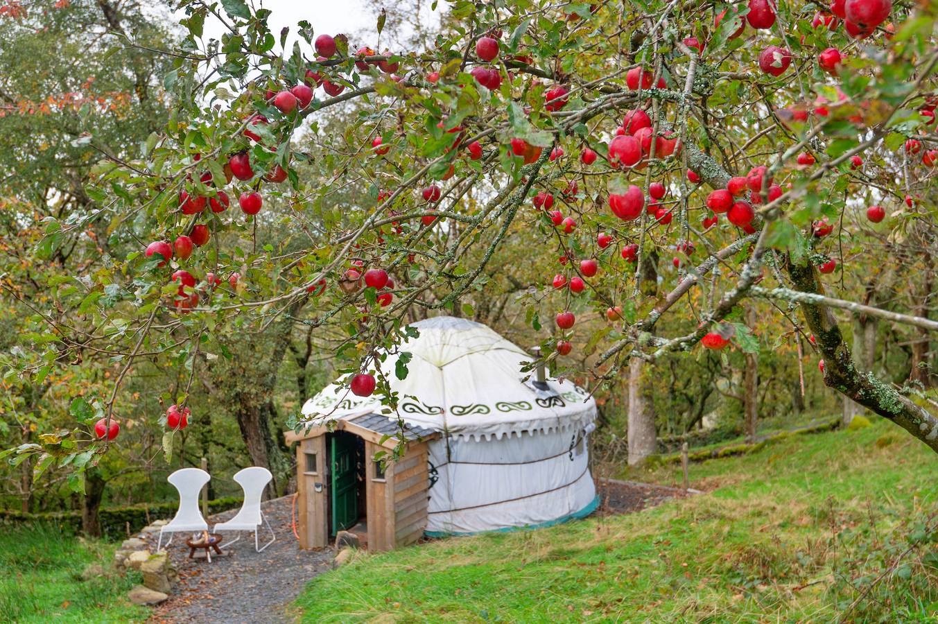Pandy Mongolian Yurt in Snowdonia