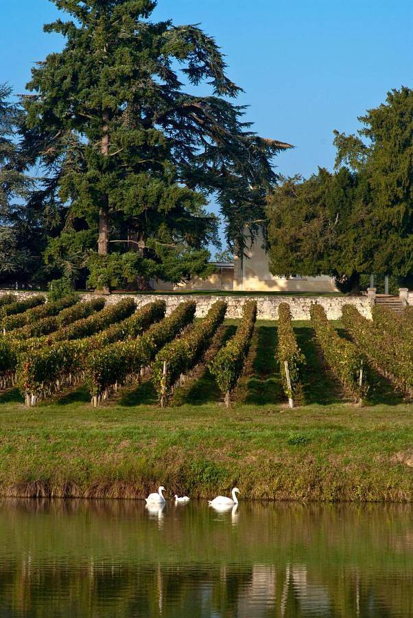Pey La Tour - Logis Hôtels & Restaurant in Sallebœuf, Région de Bordeaux