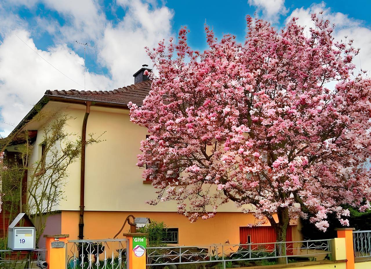 Appartamento intero, Appartamento incantevole a Jebsheim con terrazza e giardino in Jebsheim, Colmar e dintorni