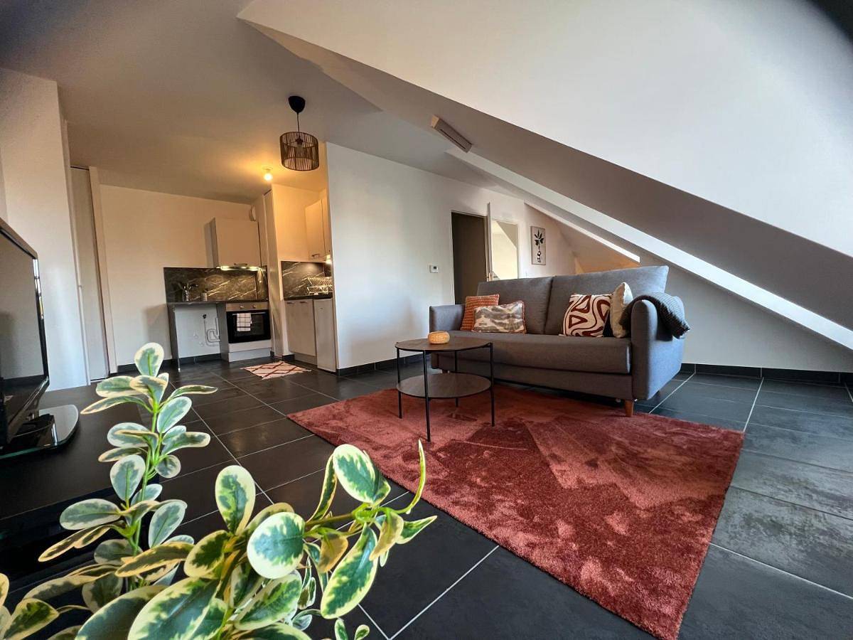 Appartement entier, Télétravail pro - Calme, grand espace, plein centre in Orléans, Vallée de la Loire
