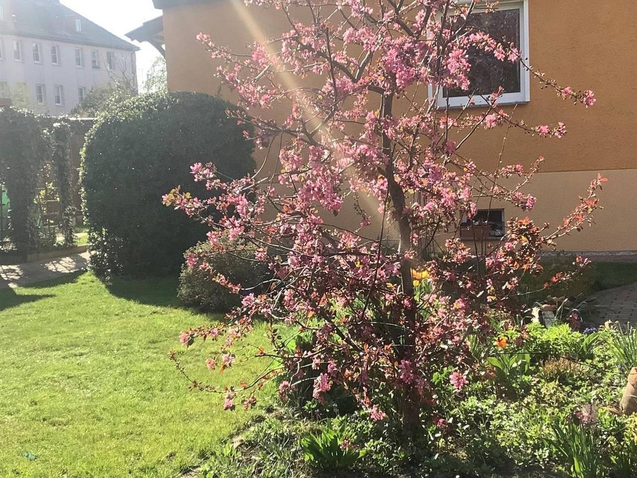 Ganze Ferienwohnung, Ferienwohnung Tschitschmann - Kleine gemütliche Ferienwohnung (33qm) in Naumburg, Saale-Unstrut