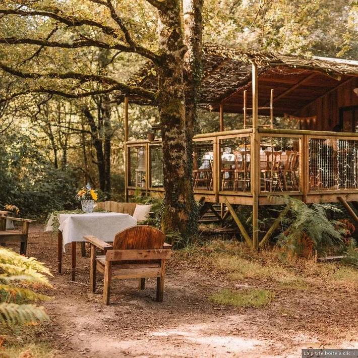 Location de vacances pour 7 personnes, avec jardin ainsi que piscine et vue, animaux acceptés à Saint-Pierre-des-Échaubrognes - 3