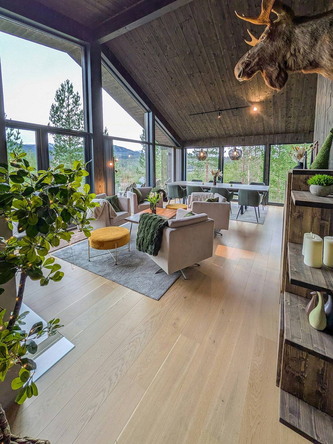 Traumhütte mit Sauna am Fuße des Lifjell in Notodden