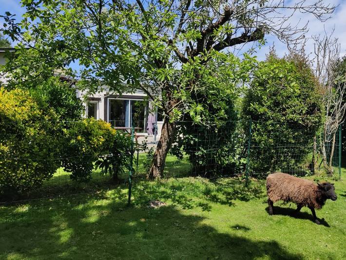Gîte pour 6 personnes, avec terrasse et jardin à Saint-Lunaire - 3