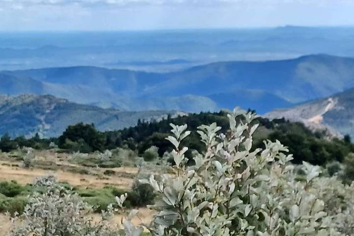Location de vacances pour 4 personnes à La Bastide-Puylaurent - 3