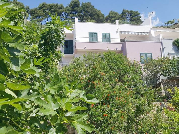 Apartamento de vacaciones para 8 personas, con jardín y vistas - 1