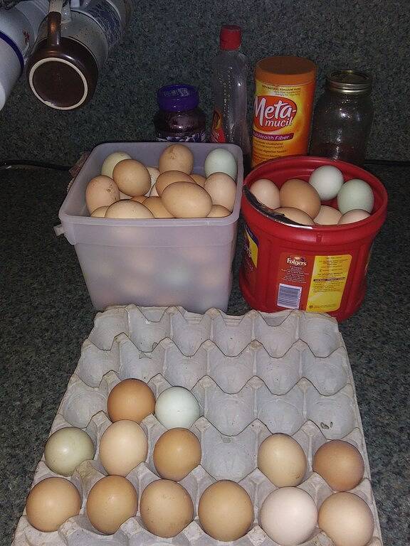 Casa Vacanza per 3 Persone in Ozark Mountains, Arkansas