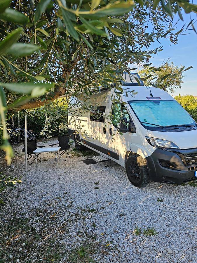 Agricoccinella - Area Sosta Camper - Solo Piazzole per il proprio Camper in Piombino, Costa degli Etruschi