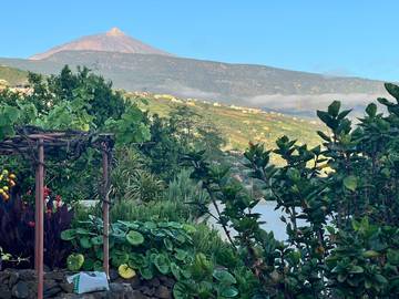 Casa Rural para 6 Personas en Colombo (Spain), La Orotava, Foto 3