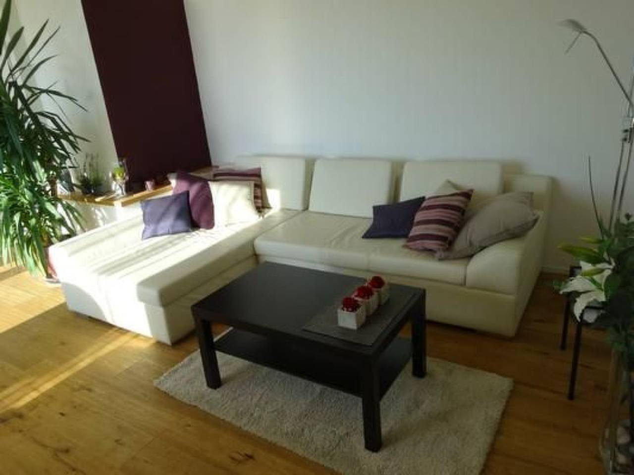 Ganze Wohnung, Moderne Ferienwohnung in Kanton Zürich