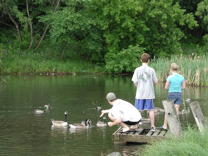 Vacation rental for 6 people, with terrace and yard in Rapid City