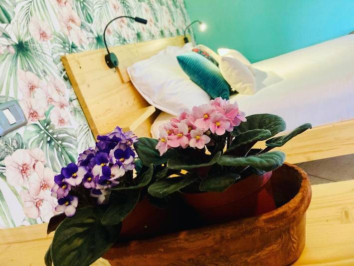 Chambre d’hôte pour 4 personnes, avec vue et jardin, animaux acceptés à Prunetto