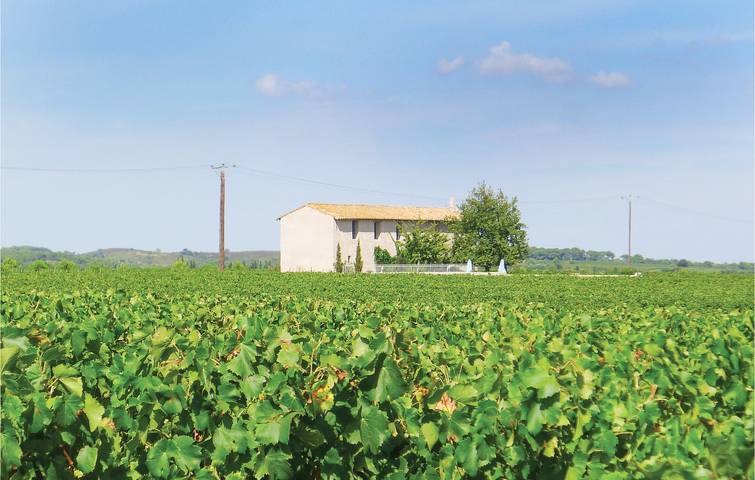 Location de vacances pour 9 personnes, avec jacuzzi et jardin ainsi que terrasse et piscine à Saint-Gilles - 3