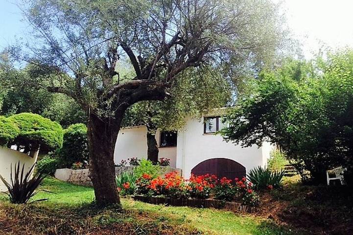 Location de vacances pour 3 personnes, avec Terrasse et Jardin à Eccica-Suarella