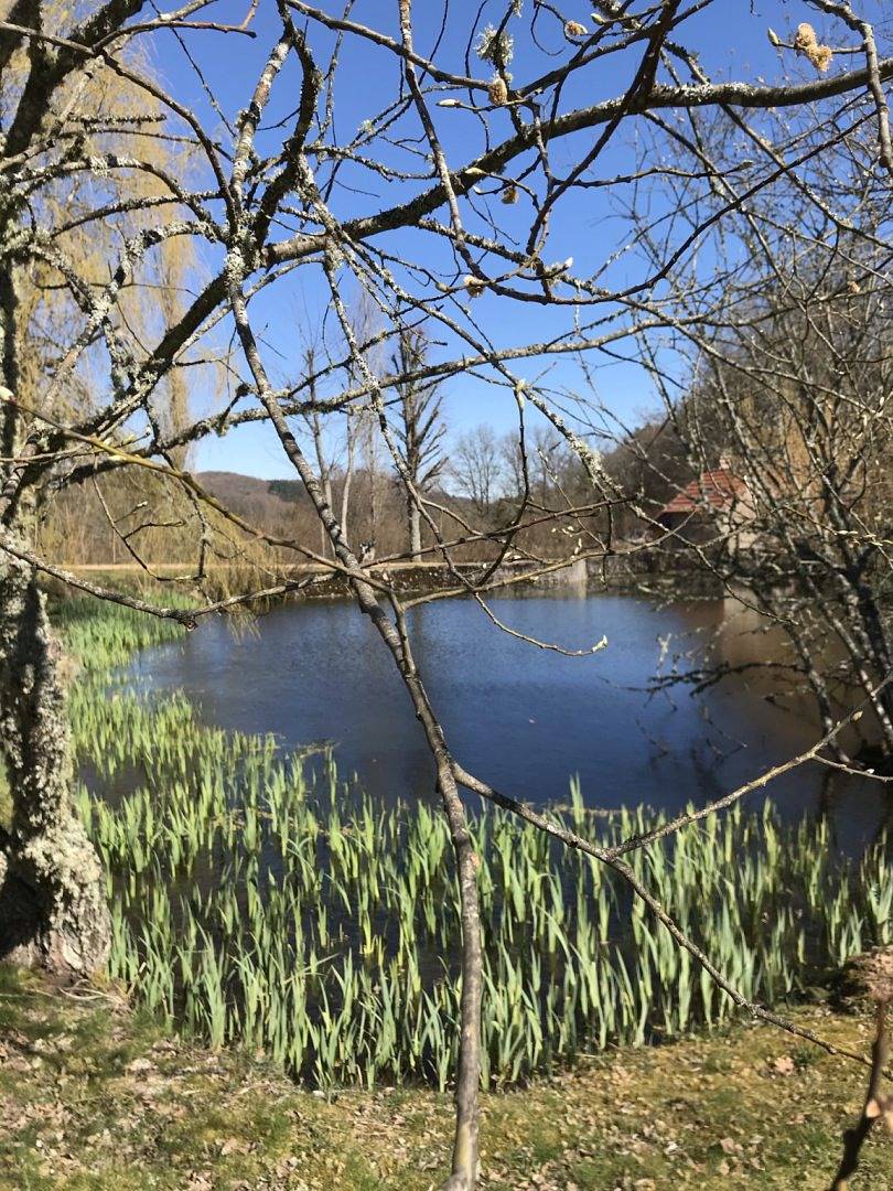 Maisonnette "La P’tiote Vernotte" in Alligny-en-Morvan, Parc naturel régional du Morvan