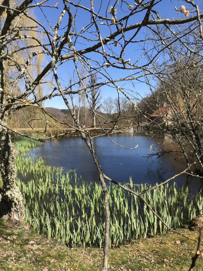 Gîte pour 2 personnes, avec jardin en Bourgogne-Franche-Comté - 3