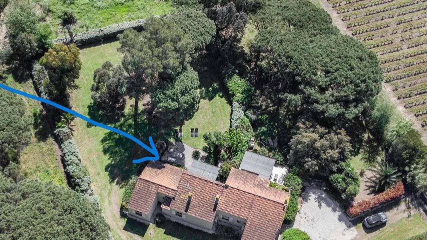 Ferienhaus für 7 Personen, mit Garten in Pampelonne - 4