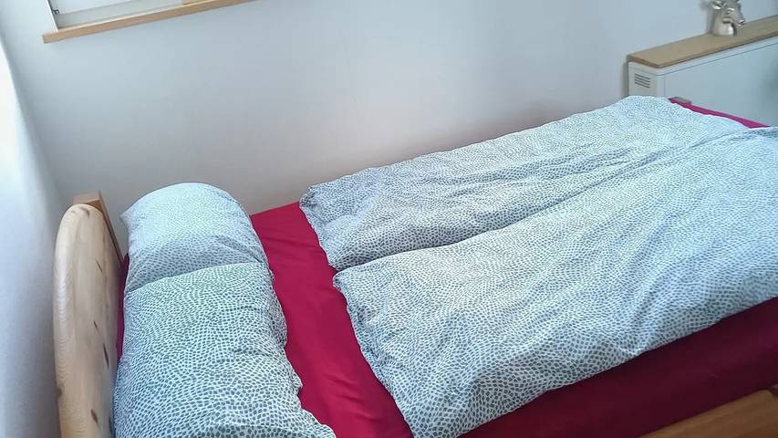 Hütte für 4 Personen, mit Terrasse in Baiersbronn - 2