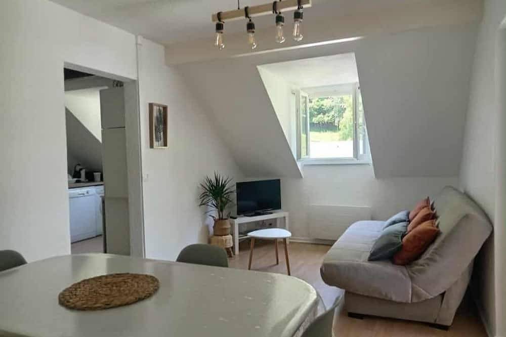 Entire apartment, Appt T3 for 4pers near La Mongie 56m2 in secure residence in Campan, Pyrenees National Park