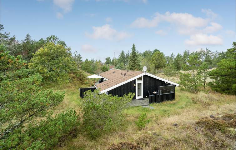 Ferienhaus für 5 Personen, mit Sauna und Terrasse, mit Haustier in Skagen - 4