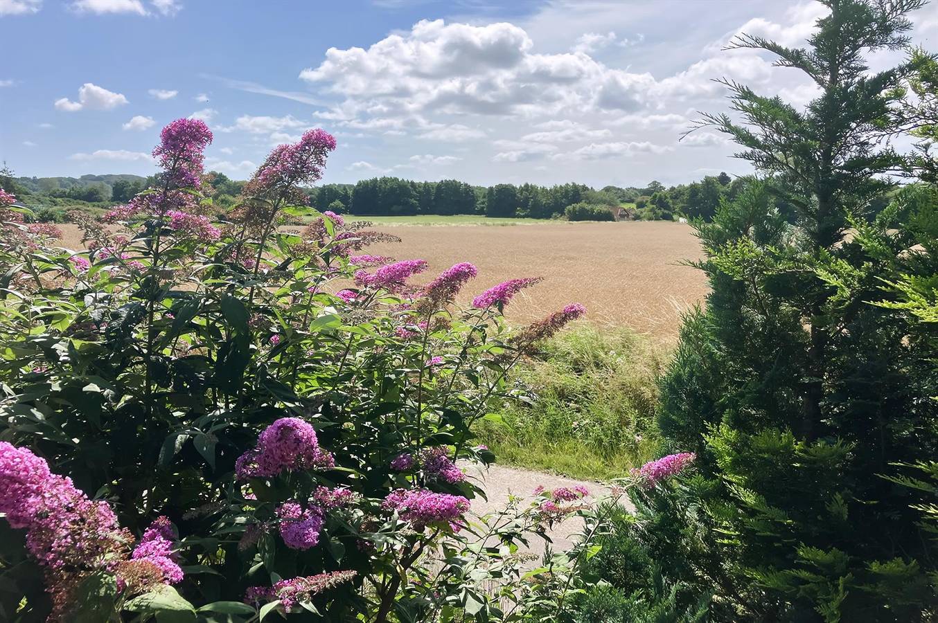 Pet friendly home in Faaborg with Wifi in Fåborg, Kleiner Belt