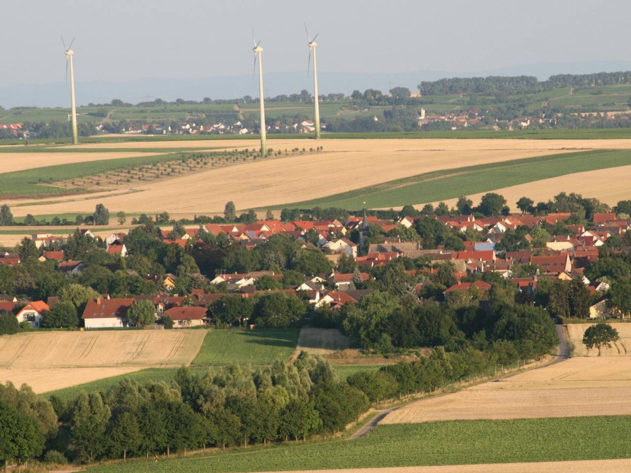 Ganze Ferienwohnung, Ferienhaus Boos in Selzen, Rheinhessen