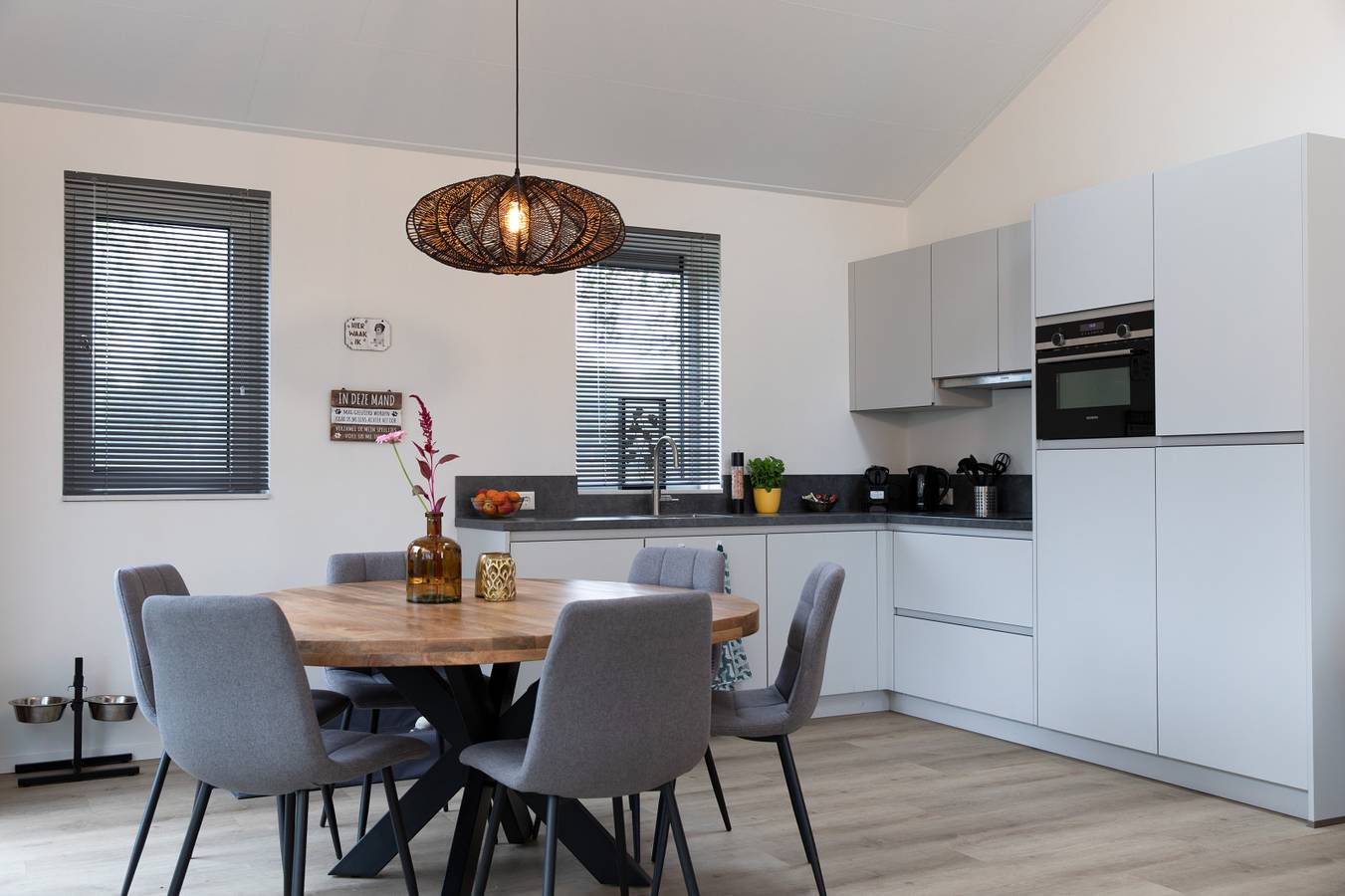 Modernes 6-Personen-Ferienhaus in einem haustierfreundlichen Ferienpark bei Hardenberg in Hardenberg, Regio Zwolle