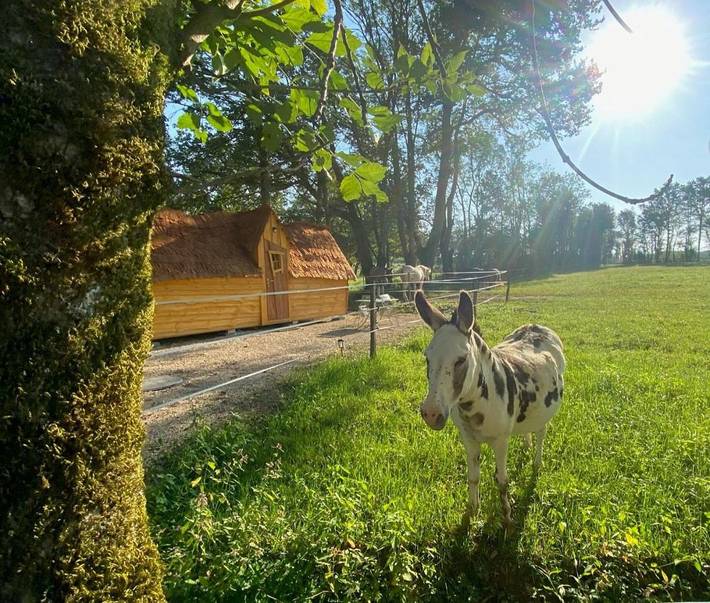 Location de vacances pour 3 personnes, avec Jacuzzi et Terrasse ainsi que Jardin et Piscine à Saint-Nizier-le-Bouchoux