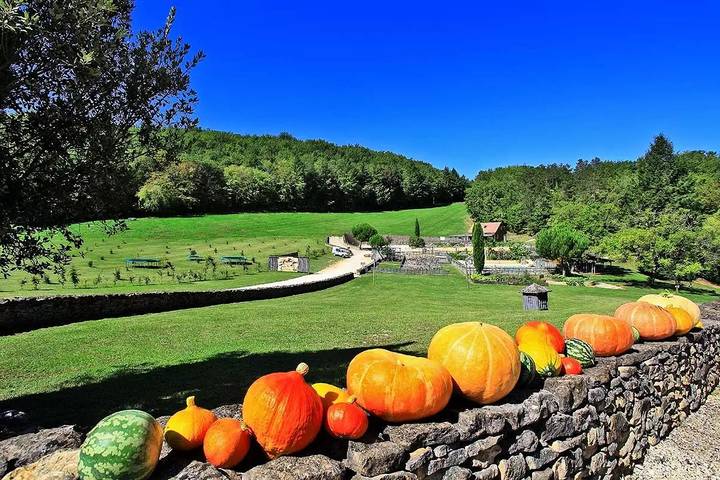 Mobil home pour 3 personnes, avec vue ainsi que terrasse et piscine à Saint-Amand-de-Coly - 2