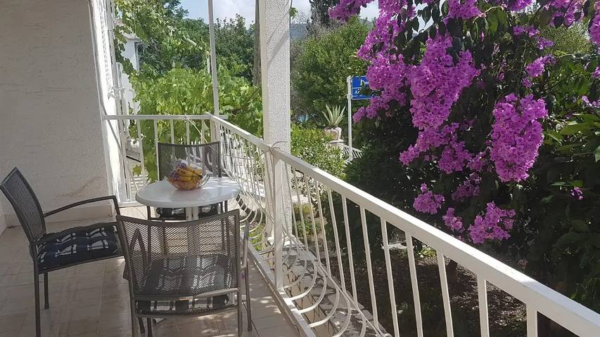 Studio für 2 Personen, mit Terrasse, mit Haustier - 1