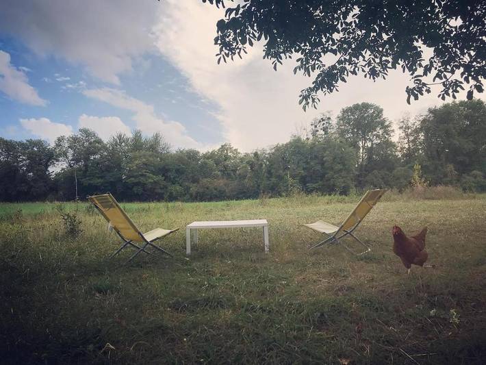 Location de vacances pour 5 personnes, avec terrasse et jardin, animaux acceptés à Bellenaves - 2