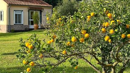 Casa rural para 2 personas, con terraza y jardín en Olvera